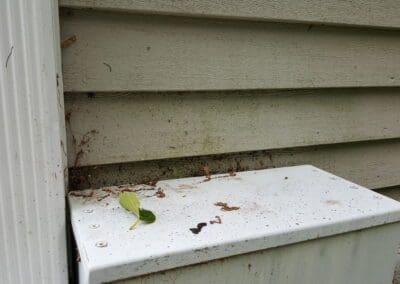 This is an exterior painting project